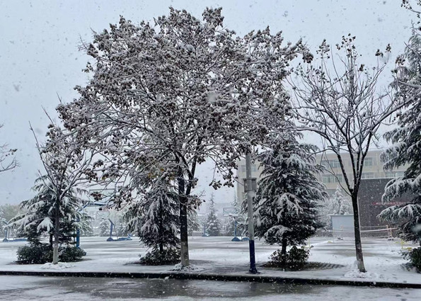 学院雪景